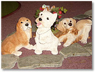 犬